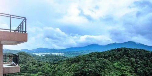 信阳半山学府位置风水怎么样,信阳半山学府可靠不