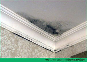 屋内潮湿发霉,屋内潮湿发霉