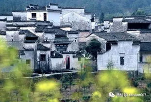 生活在西递：体验宁静与祥和