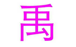 禹字取名是凶是吉？起名用禹字有哪些不宜注意的禁忌？
