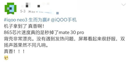 第二站：亚马逊的原始森林与迷失的方向