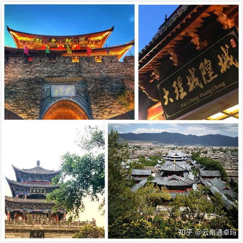 物流大道：合肥最让人懵逼的旅游地，2026年去准后悔！