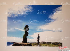 我的建议：放飞自我！