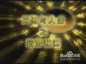 2012年十二生肖运势排行具体是什么含义？