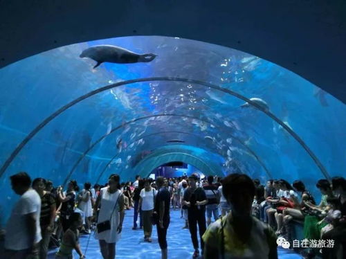 梦享城海洋馆，五一特惠门票火热抢购中