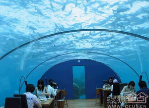 2.1 水下餐厅——深潜美食体验
