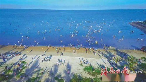 海南岛十较大赶海胜地推荐