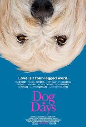 Dog Days: 哪些八字适合养狗狗？