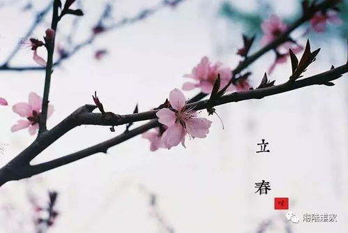 1974年农历正月十三是哪一天当年立春具体时间是什么时候？