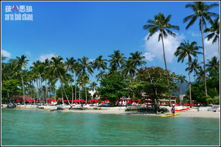 Koh Phangan——月光派对