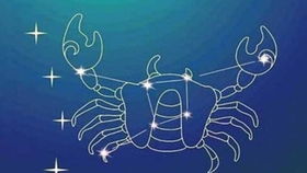 家居生活服饰鞋包母婴亲子美食酒水专区热销