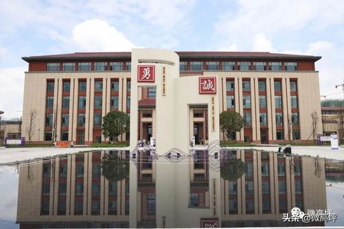 老校区 VS 新校区：两种截然不同的旅行体验