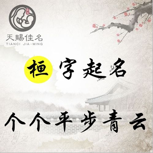 4.2 现实考量——潜在挑战与机遇