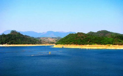 暑假带娃去哪儿？别再去那些挤死人的地方了 我告诉你一个栾川养子沟的惊天秘密