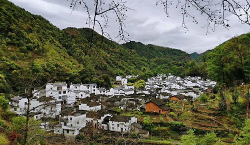 “文人墨客”？我怀疑是村里的老头编的