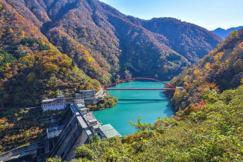 1. 这个地方美到让人窒息