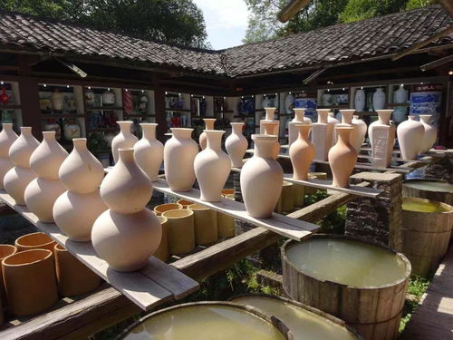 除了景德镇哪里还有这种坑？盘点那些年被偷拍的奇葩经历