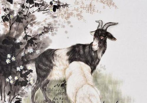 1991年属羊人在2026年的财运如何，以及那一年适合佩戴哪些吉祥物？