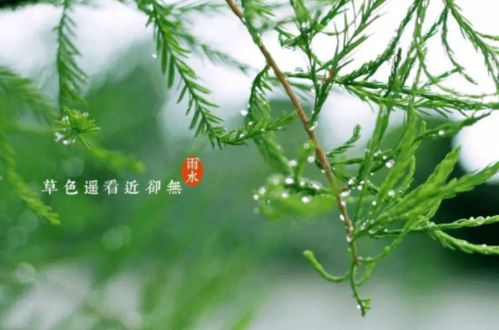 雨水天气就跟神经病似的