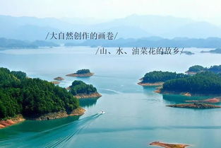 亲子游，乐趣无限（孩子们吵得很）
