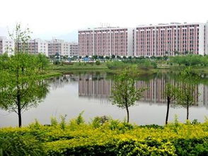 从化城建学院周边一日游——随手写的乱七八糟版攻略