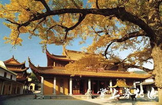 二、香积寺？更别提了