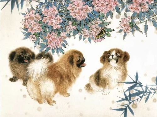 冲动投资风险高