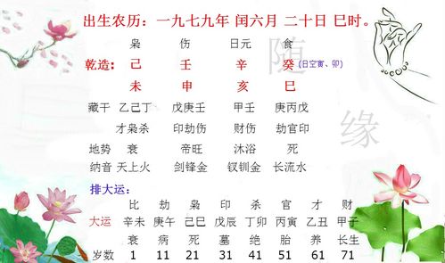 小结——一段感悟与一点讽刺