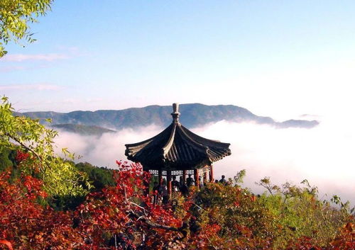 香山天气大预测！2026年10月要带伞！
