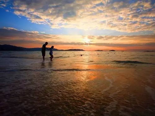 海南团：阳光下的黑暗