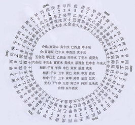 辛卯日柱：爱情路上的坎坷与考验