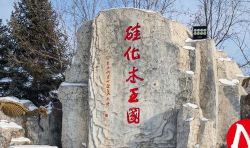 哎呀，说走就走的旅行，寻古洮北到底咋整啊？