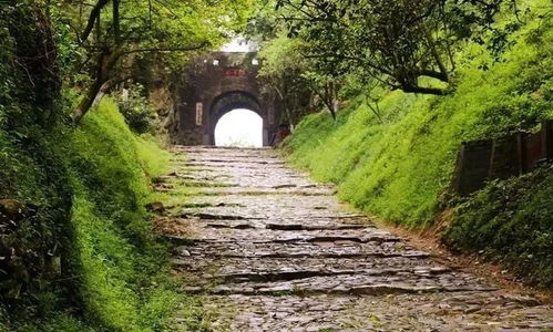 梅关门票大揭秘：省钱还是被坑？2026年运势指南