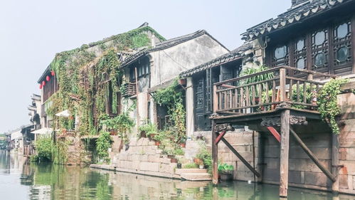 摇橹船上的那些事儿