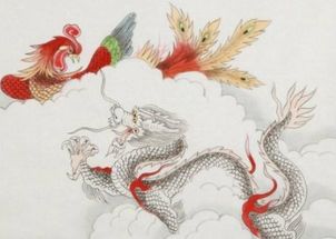 属龙的人嫩否与同属龙的伴侣喜结连理？