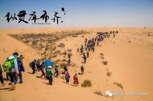 独家体验：沙漠中的绿色奇迹 (也许只是个绿色的石头?)