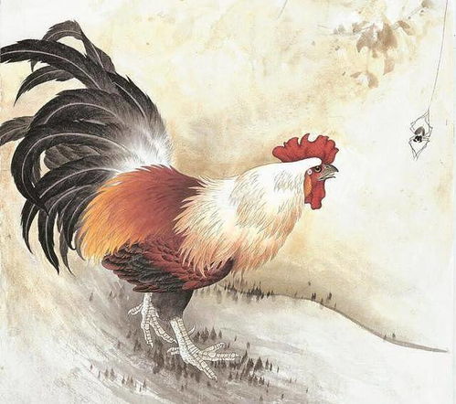 2026年3月29日，属鸡人运势如何？苏民峰版详细解析？