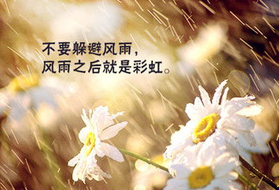 土味五行说明书