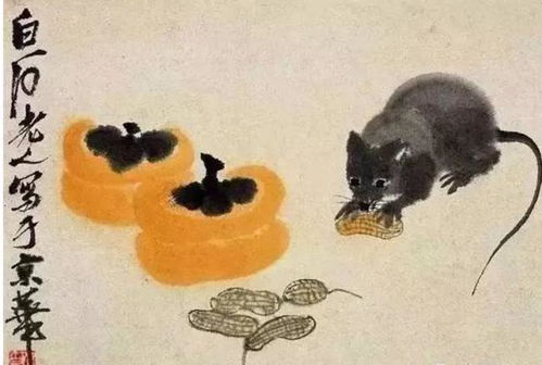 属鼠者的特点