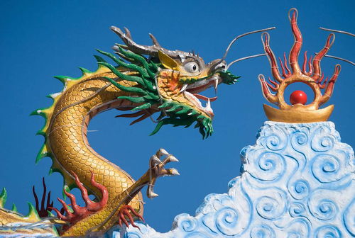 2026年属龙人全年运势及每月运程具体如何？