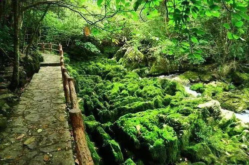 高速上的奇幻漂流
