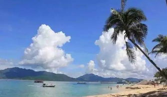五、 温泉海岸线：泡汤也能泡出新花样