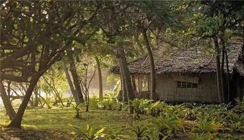 房子周围种树对风水有影响吗？如何改变房子进蛇的风水？