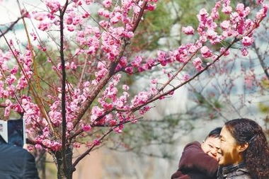 三、实用小贴士（或者说随机吐槽）——怎么把赏花变成一次“奇妙冒险”？