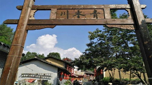 第四站：口岸雕花楼——滨江文化旅游街区之魂