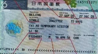 巴黎旅游热门的原因：除了浪漫之外