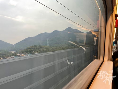 窗外风景：电线杆爱好者的天堂
