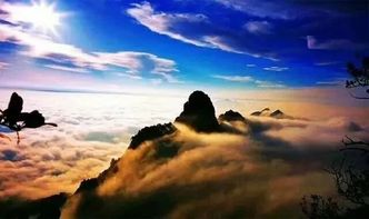 白骨鸟的来历：迷雾重重