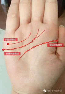 手纹太乱咋整？