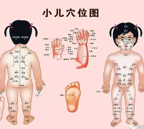 第一弹：颜值暴跌？恭喜你可能怀了男宝！